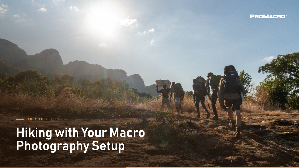 Hiking with Your Macro Photography Setup
