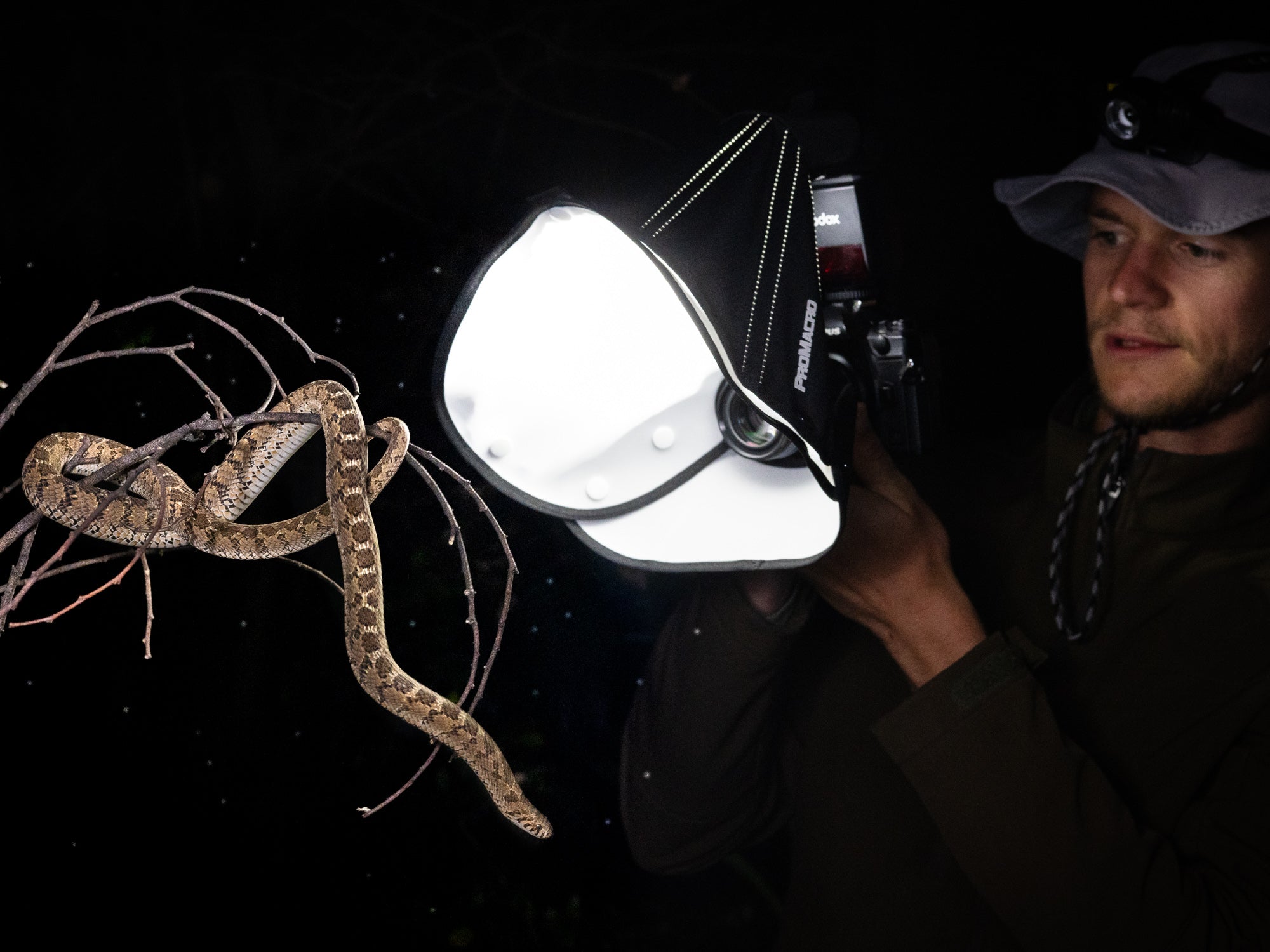 Person holding a flashlight near a snake in a dark setting