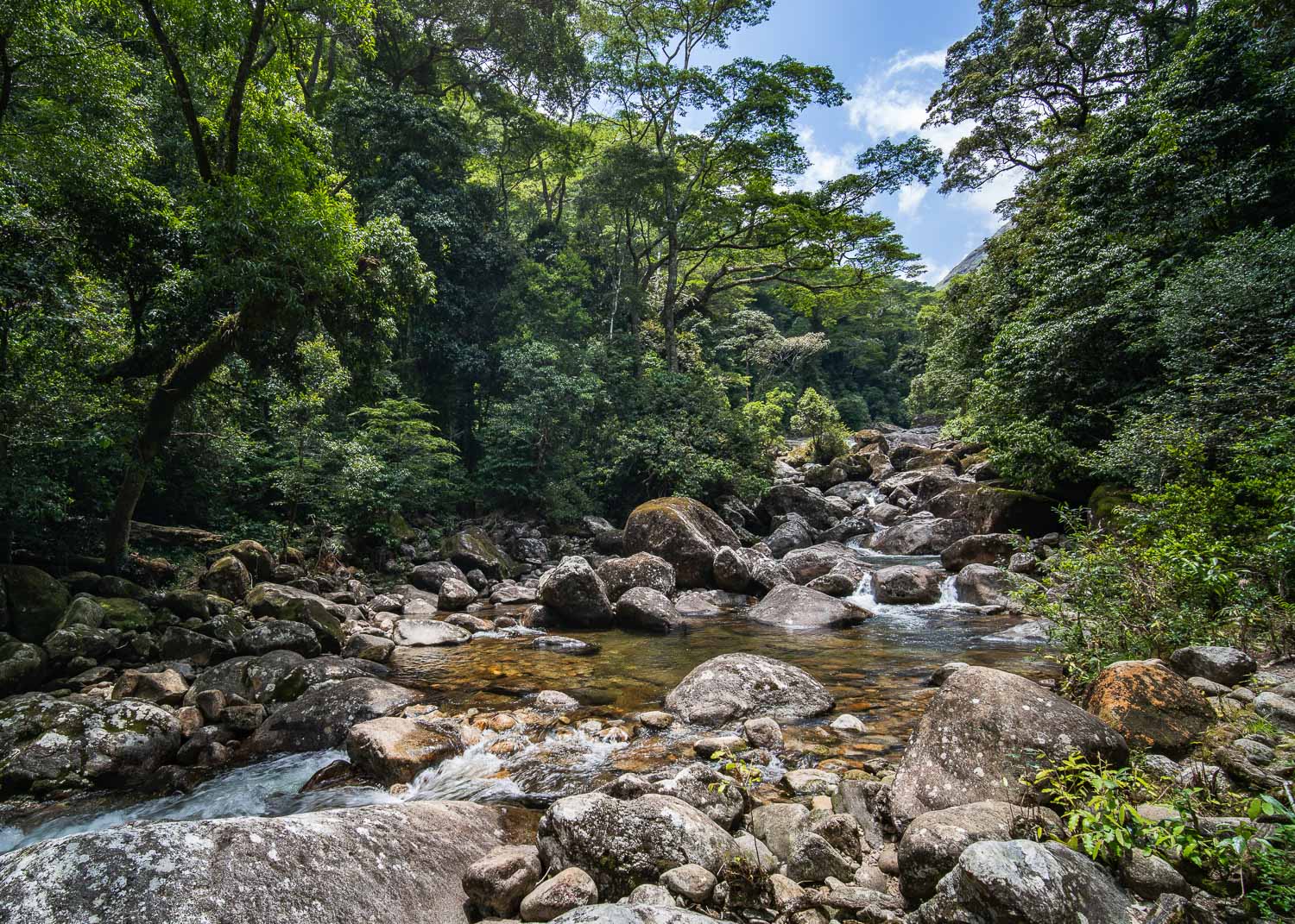 Stream flowing through a rocky landscape with dense greenery